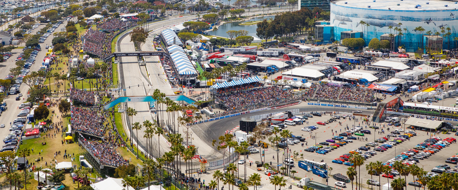 The Benefits of Long Beach Large Group Health Insurance